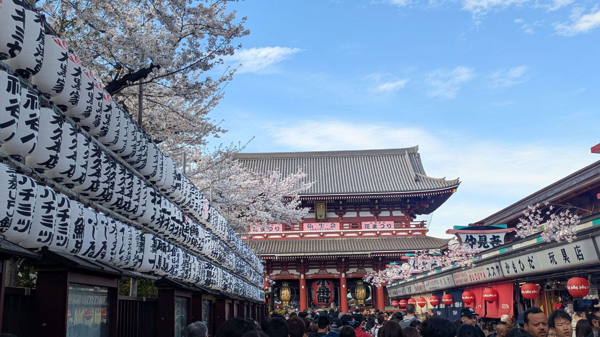 asakusa printemps