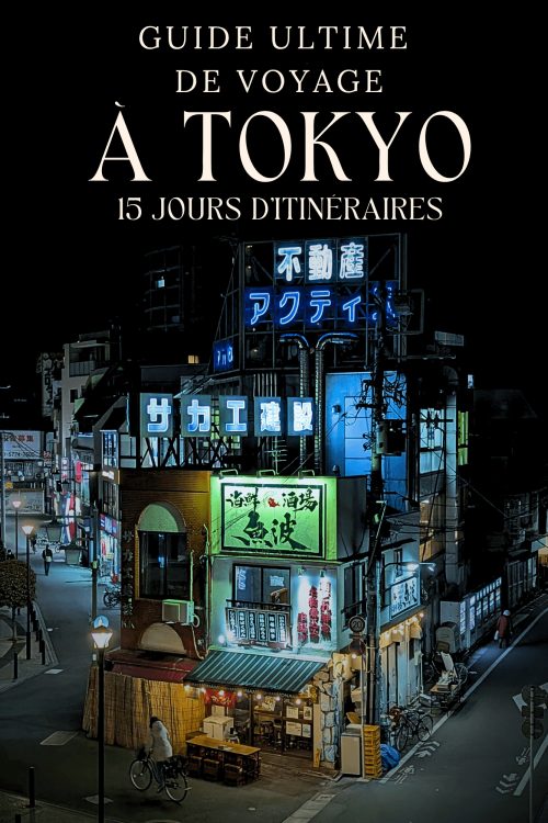 guide pratique pour voyage au japon clef en main